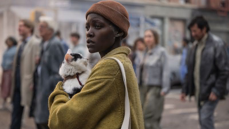 O que acontece com o gato Frodo em "Um Lugar Silencioso: Dia Um"? (Foto: Divulgação/Paramount Pictures)