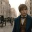 Eddie Redmayne como Newt Scamander em Animais Fantásticos