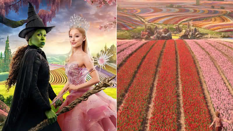 Jon M. Chu revela que equipe plantou 9 milhões de tulipas para filmar Wicked - Divulgação/Universal Pictures