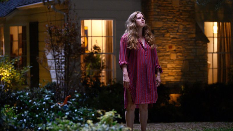 Amy Adams brilha, mas Canina se perde entre a fantasia e o drama sobre maternidade - Divulgação/Searchlight Pictures