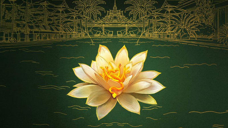 The White Lotus é renovada para 4ª temporada pela HBO - Divulgação/HBO