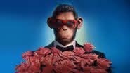 Onde assistir a Better Man - A História de Robbie Williams? - Divulgação/Diamond Films