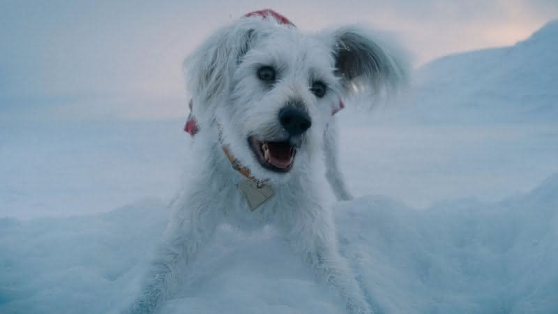 A história de Krypto, o Supercão: do planeta Krypton aos cinemas - Divulgação/Warner Bros. Pictures