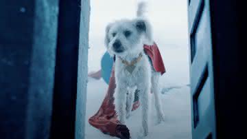 A história de Krypto, o Supercão: do planeta Krypton aos cinemas - Divulgação/Warner Bros. Pictures