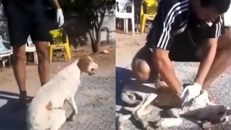 Lucas Martins salvou um cachorro - Instagram