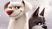 "DC Liga dos Super Pets" ganha cartazes individuais dos personagens; veja - Divulgação/Warner Bros