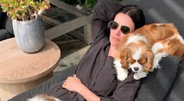 Courteney Cox passou um sufoco para salvar seus cachorros - Instagram