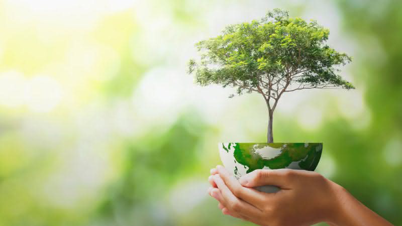 Preservar os recursos naturais é a única forma de garantir um futuro sustentável (Imagem: lovelyday12| Shutterstock)