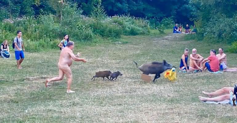 Durante passeio, um homem pelado precisou correr atrás de um porco que havia roubado seus pertences - Reprodução/Facebook/Adele Landauer