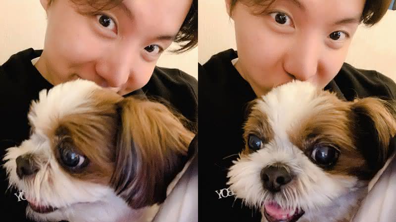 J-Hope é o dono do shih-tzu Mickey - Reprodução/Twitter