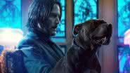 "John Wick 4": Diretor fala sobre desfecho emocionante para personagem de Keanu Reeves - Divulgação/Lionsgate