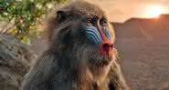 Rafiki dublado por John Kani em live action de 'Rei Leão'  - Reprodução/Disney/Entertainment Weekly