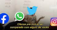 Meme do Twitter - Reprodução/Twitter