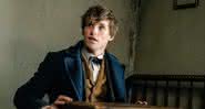 Redmayne no filme "Animais Fantásticos e Onde Habitam" - Divulgação/Warner Bros. Pictures