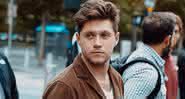 Niall Horan - Reprodução/Instagram