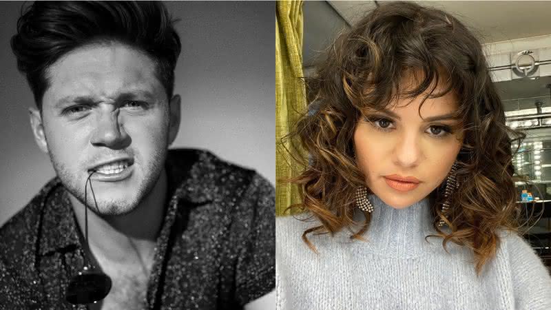 Niall Horan e Selena Gomez em fotos publicadas em seus perfis - Instagram