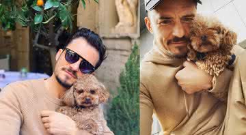 Orlando Bloom e Mighty, cachorro de estimação dele, morto após dias desaparecido - Reprodução/Instagram