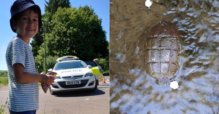 Pai e filho se salvaram de grave acidente após confundirem granada com o casco de uma tartaruga - Facebook