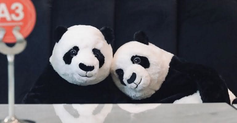 Pandas de pelúcia fazem companhia a clientes em restaurante na Tailândia - Instagram