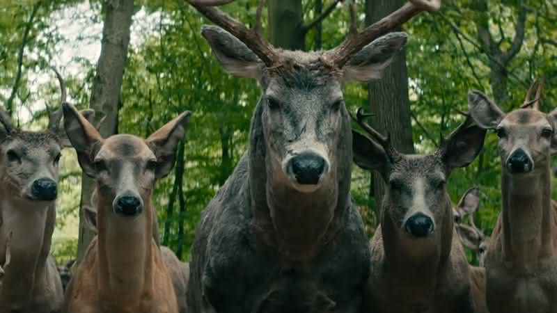 Por que os cervos são assustadores em "O Mundo Depois de Nós", da Netflix? (Foto: Divulgação/Netflix)