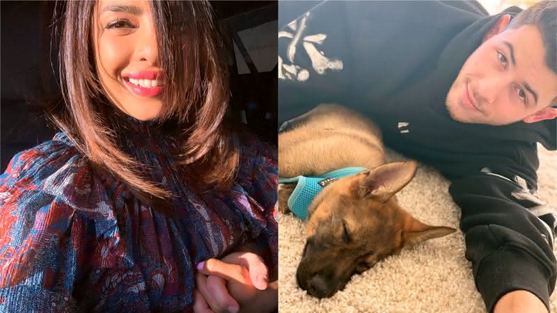 Priyanka Chopra decidiu presentear Nick Jonas com um cachorro em seu primeiro aniversário de casamento - Instagram