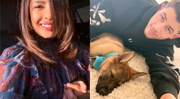 Priyanka Chopra decidiu presentear Nick Jonas com um cachorro em seu primeiro aniversário de casamento - Instagram