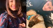 Priyanka Chopra decidiu presentear Nick Jonas com um cachorro em seu primeiro aniversário de casamento - Instagram