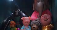 "Sing 2" ganha noco pôster com personagens principais se apresentando - Divulgação/Universal Pictures