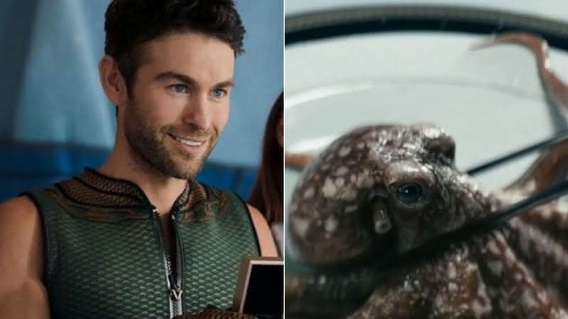 "The Boys" ganha prêmio da PETA, organização em defesa dos animais, por cena com polvo - Divulgação/Prime Video