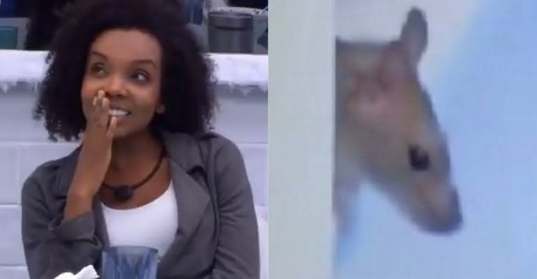 Thelma assustada com a possibilidade de ter um rato na cozinha do Big Brother Brasil 20 - Reprodução/Globoplay