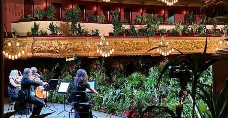 UceLi Quartet abriu a temporada no Gran Teatre del Liceu com uma plateia de mais de duas mil plantas - uceli_quartet/Instagram