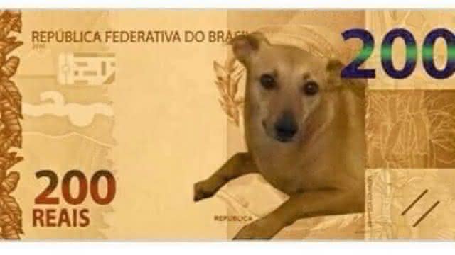 Petição pede cachorro na nova cédula - Reprodução/Twitter