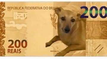 Petição pede cachorro na nova cédula - Reprodução/Twitter