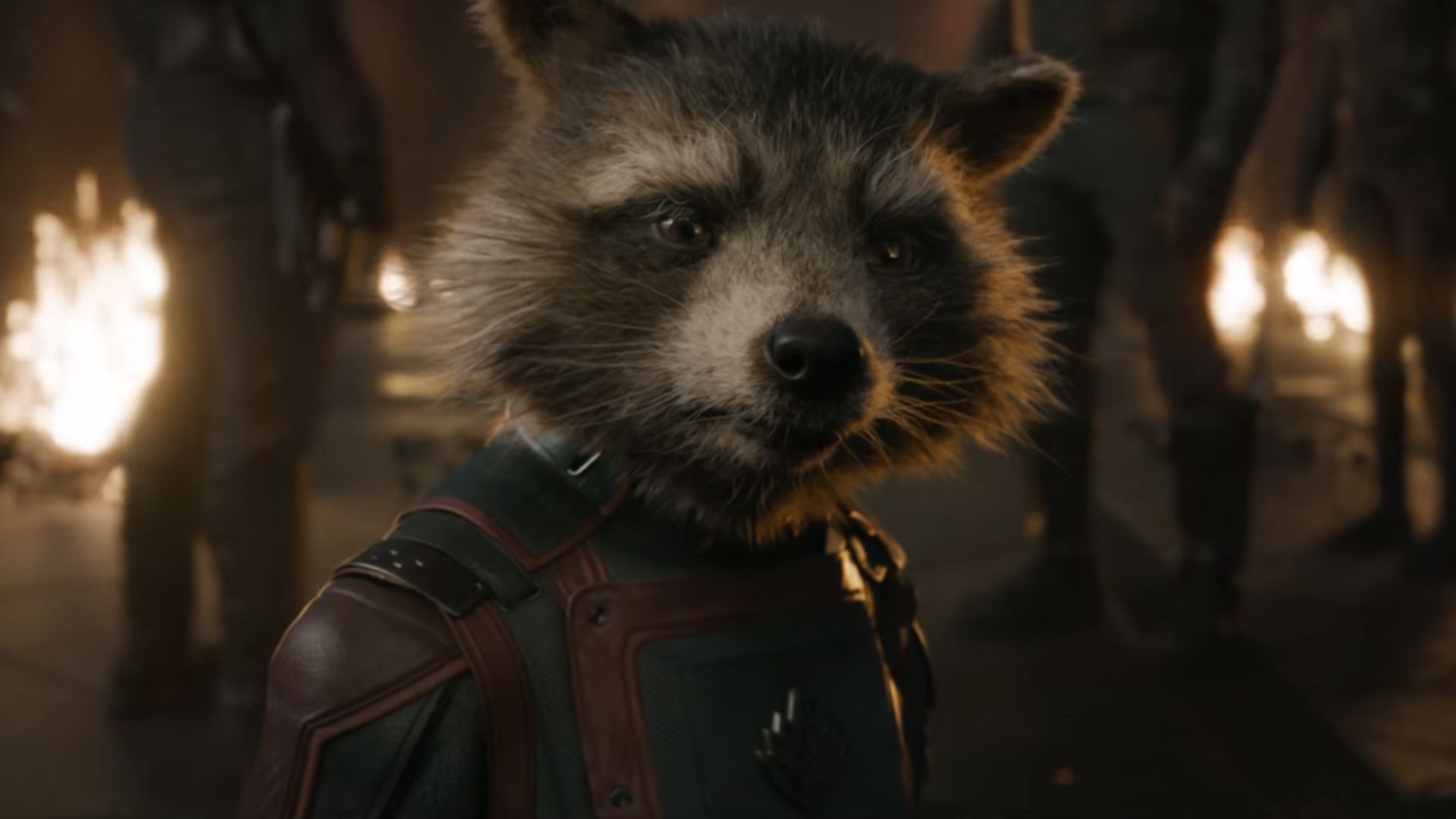 Rocket Raccoon é o verdadeiro protagonista de "Guardiões da Galáxia: Volume 3" (Foto: Reprodução/Marvel Studios)