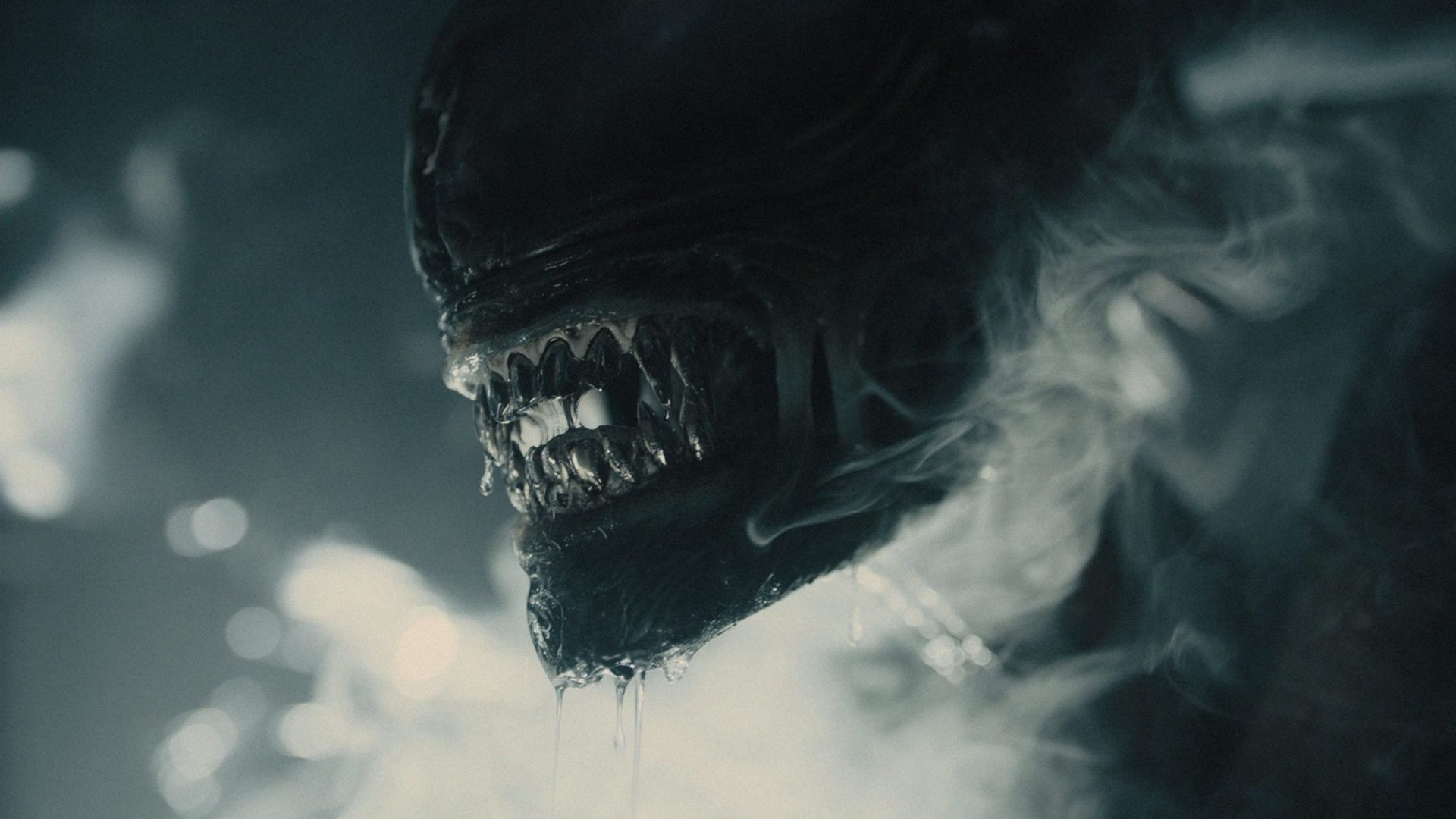 “Alien: Romulus” ganha trailer oficial eletrizante; assista