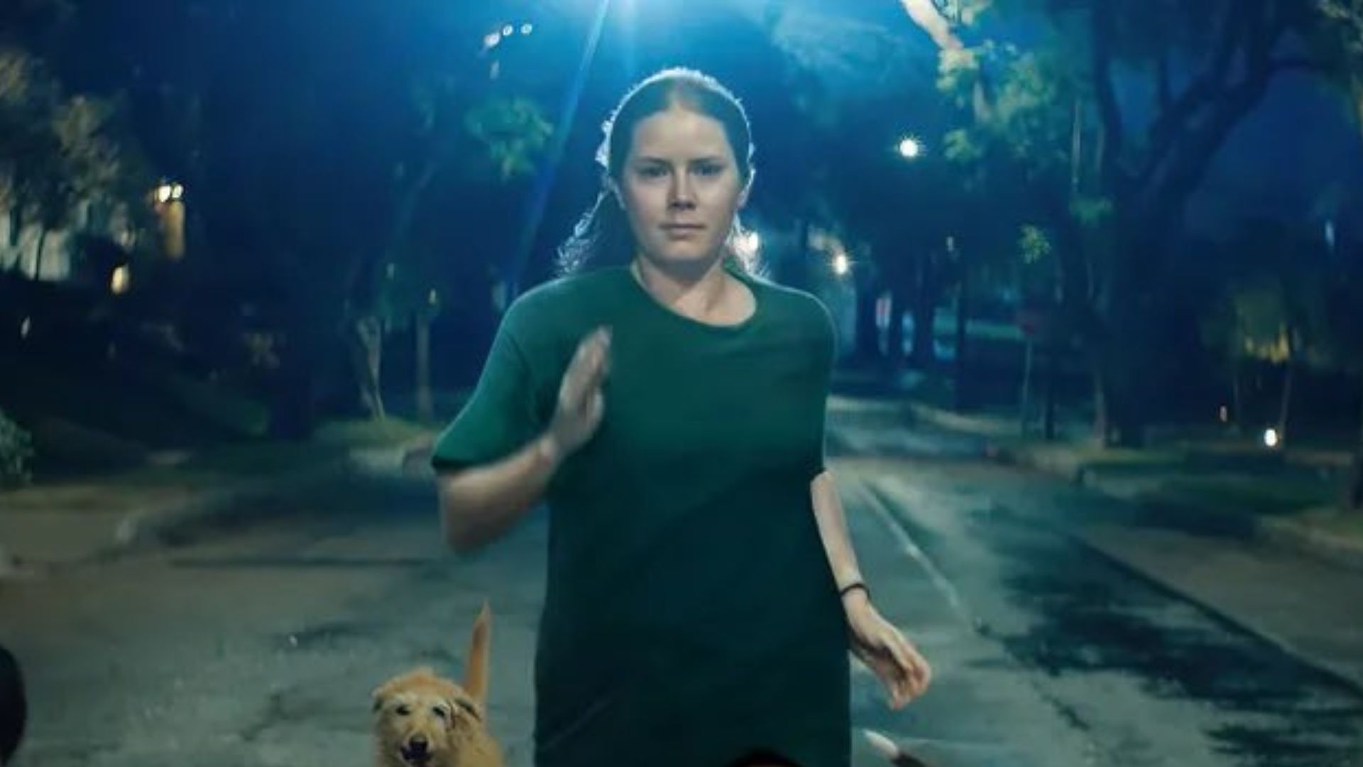 “Nightbitch”, thriller com Amy Adams, ganha primeiras imagens; confira