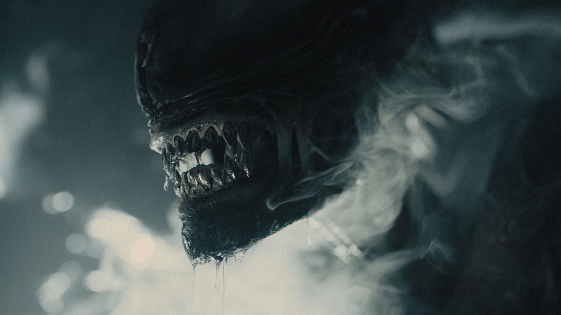 Onde assistir aos filmes da franquia “Alien”, criada por Ridley Scott?