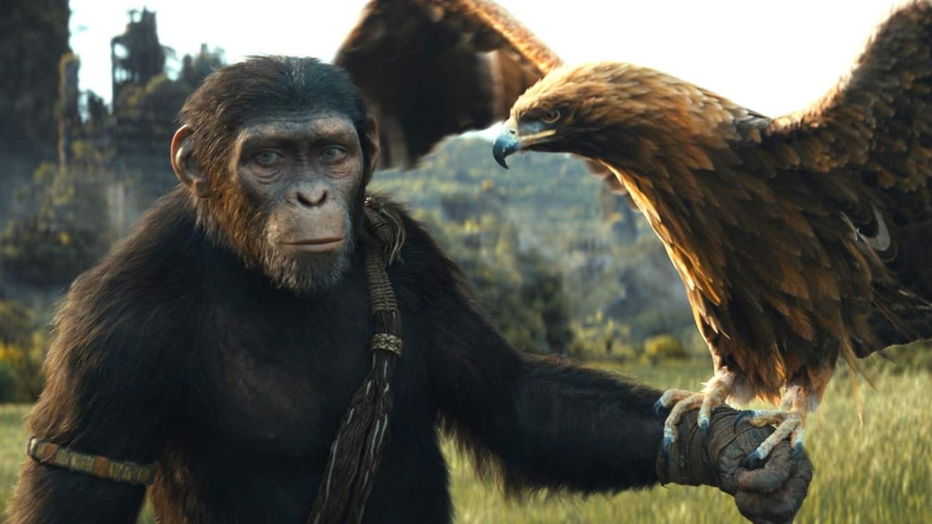 “Planeta dos Macacos: O Reinado” estreia no Disney+