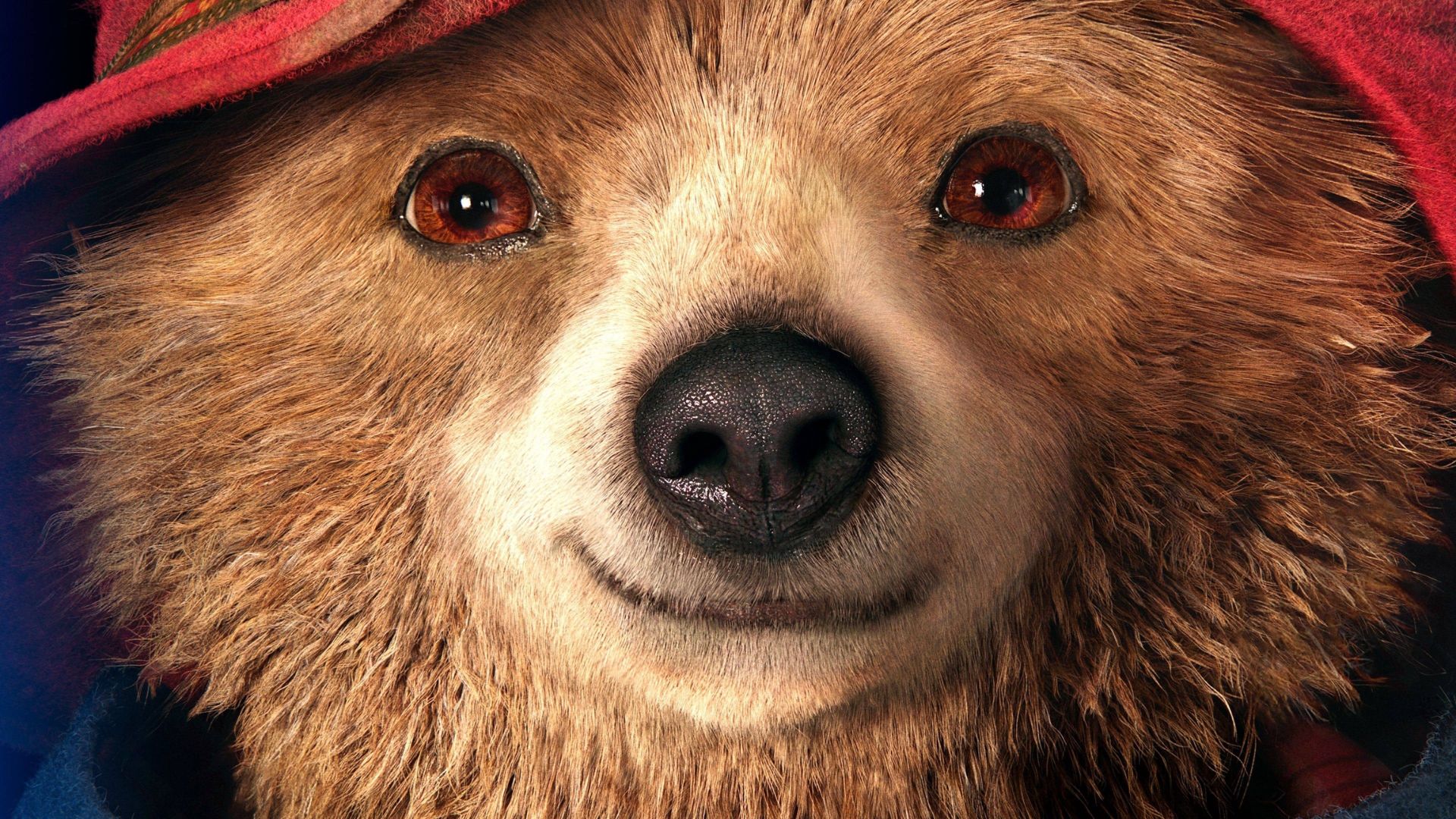 “Paddington” deverá ganhar quarto filme e série de TV, diz site
