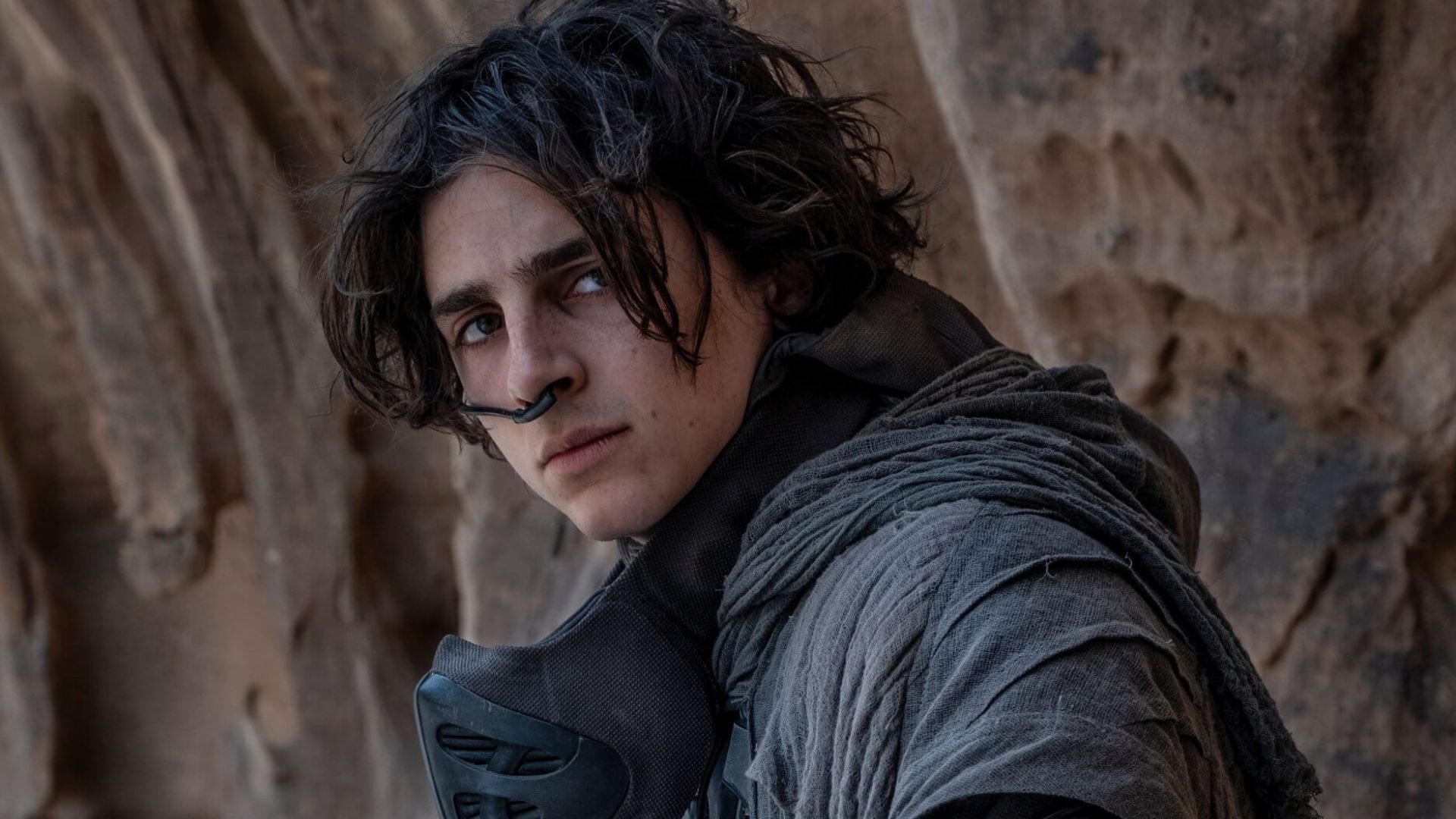 Filme com Timothée Chalamet será o mais caro da história da A24, diz site