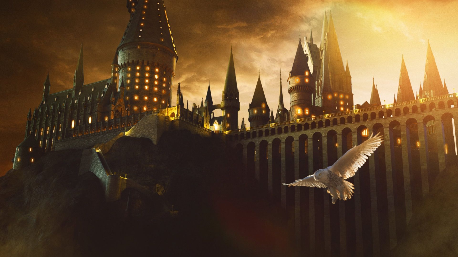 Série de Harry Potter pode ter 10 temporadas, diz CEO da Warner