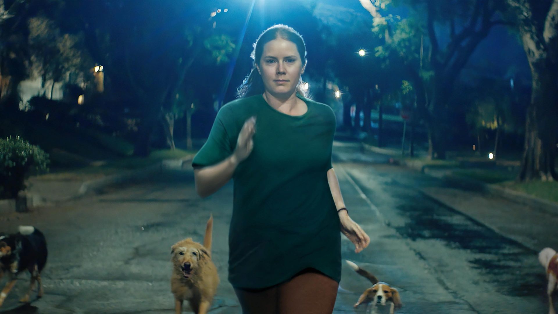 Canina, filme com Amy Adams, estreia no Disney+