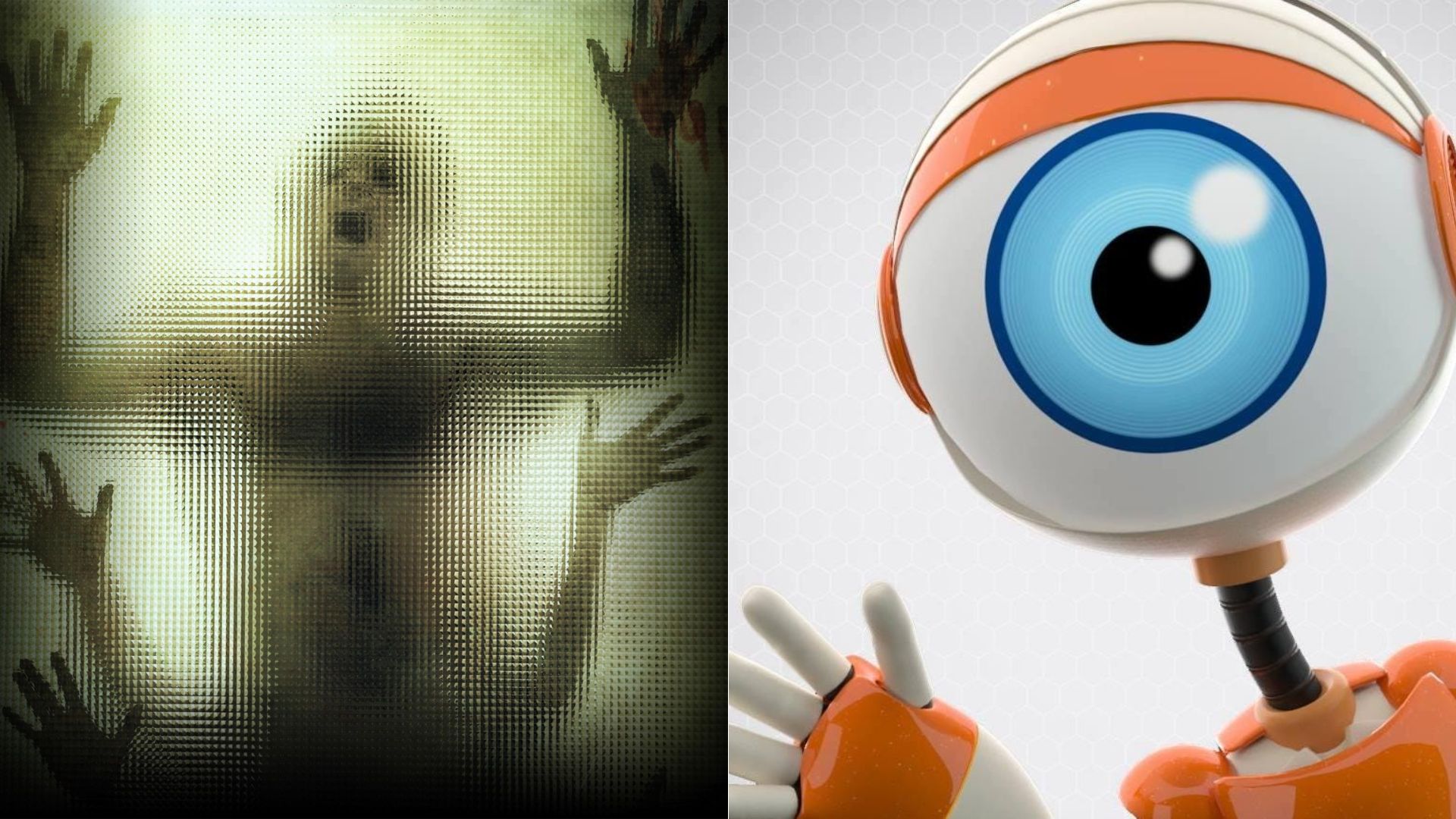 Sabia que o diretor de Centopeia Humana também dirigiu o primeiro Big Brother?