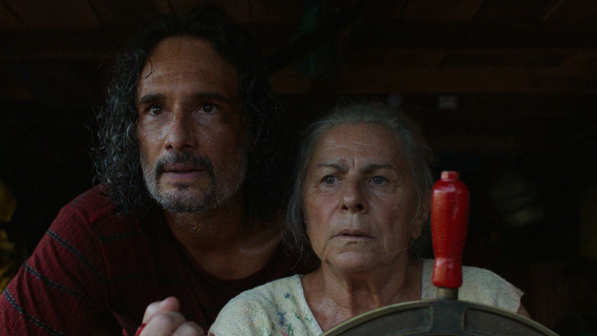 Conheça O Último Azul, filme brasileiro premiado no Festival de Berlim