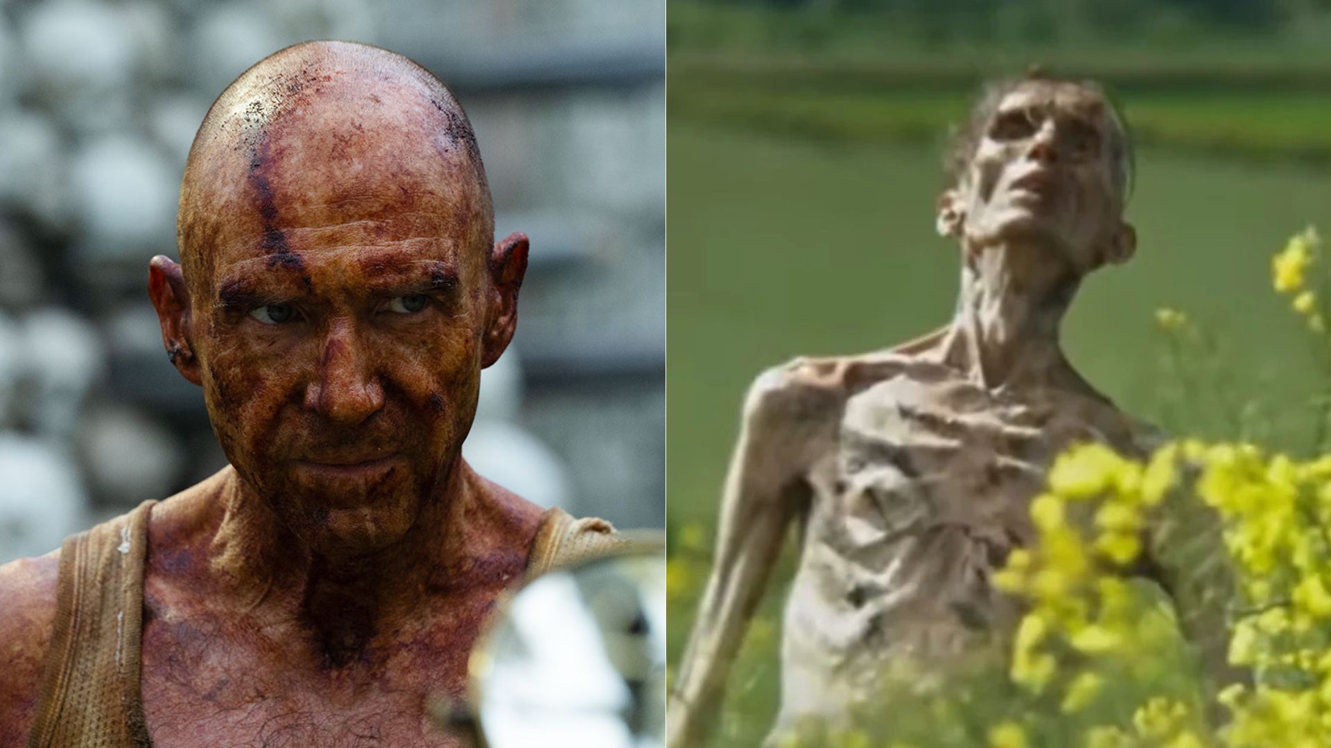 Ralph Fiennes confessa que levou ‘bronca’ por revelar detalhes de Extermínio: A Evolução