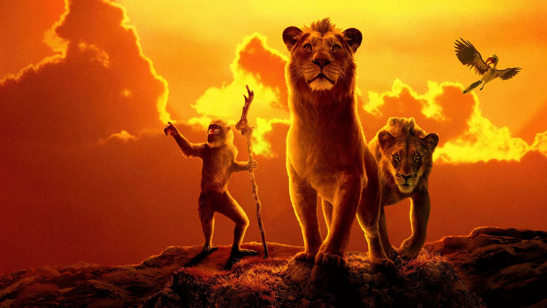 Mufasa: O Rei Leão, prelúdio do live-action, chega ao streaming; saiba onde assistir