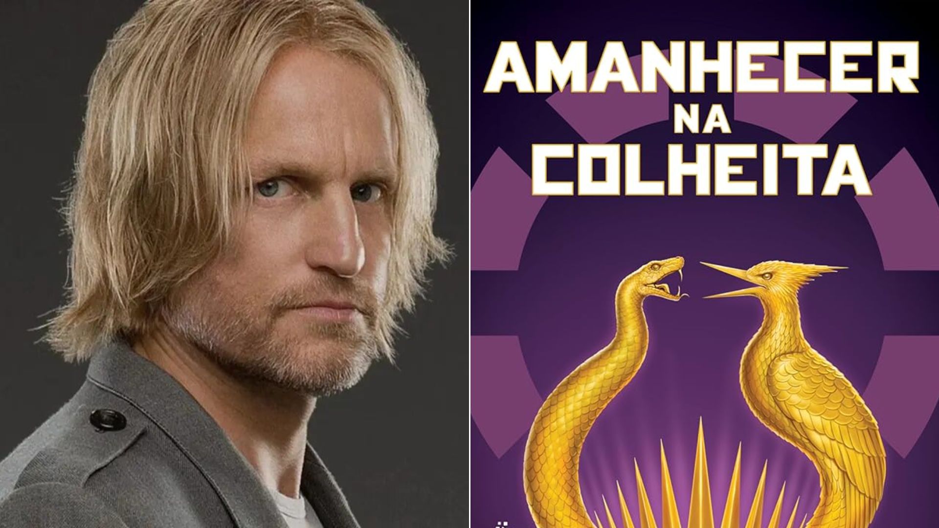 Amanhecer na Colheita: Quem está no elenco do novo filme de Jogos Vorazes?