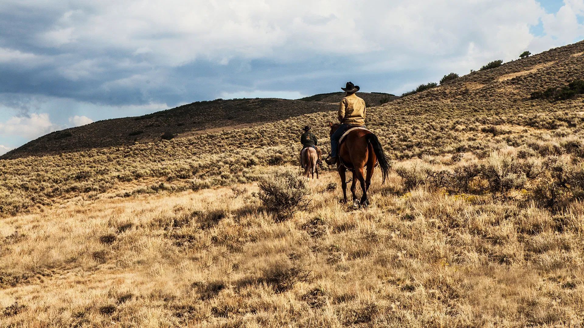 Conheça The Madison, nova série spin-off do universo Yellowstone