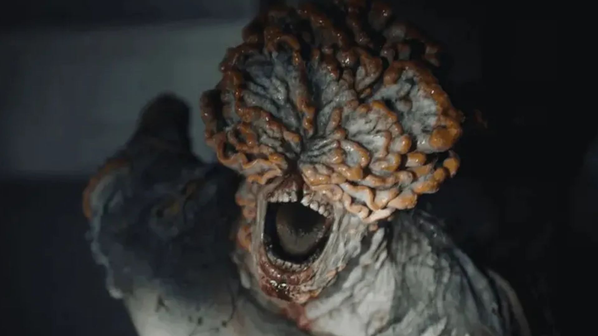 Sabia que o fungo Cordyceps, de The Last of Us, existe na vida real?