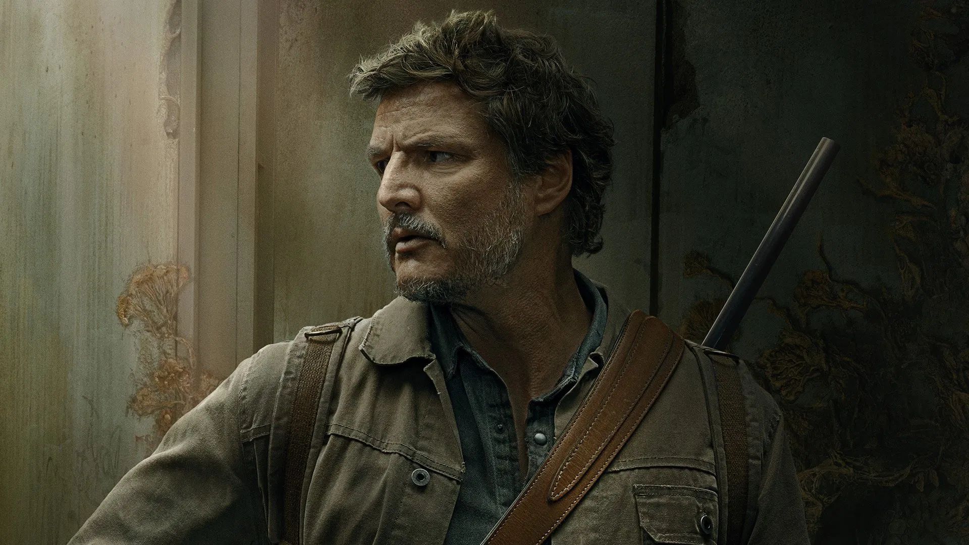 Sabia que Pedro Pascal, de The Last of Us, teve que fugir do Chile por causa da ditadura?